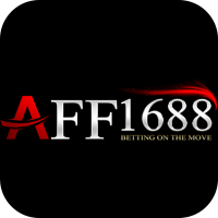 (c) Aff1688.io